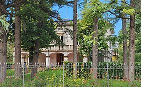 White House B&B
